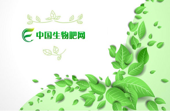 北京高端網(wǎng)站建設(shè)公司-中國(guó)生物肥網(wǎng)